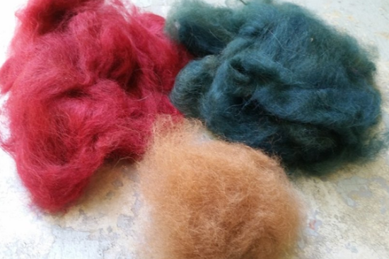 Dyeing polyamide and wool