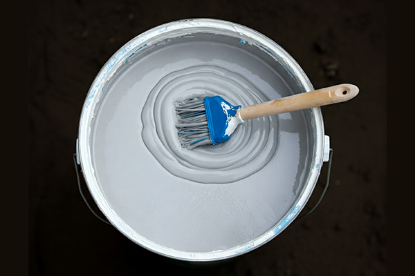 Paint and Construction Chemicals