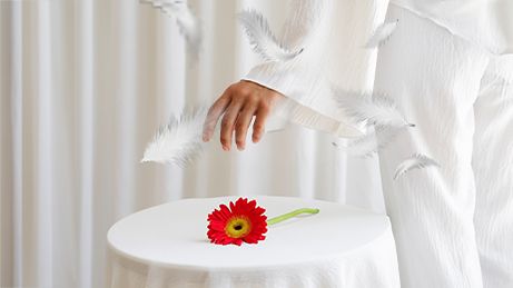 Lyocell lif yapısı